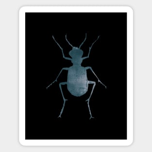 Beetle, One Magnet